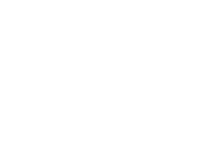 robertirattan_logo