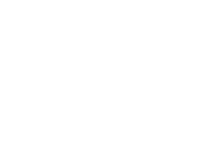 sovet