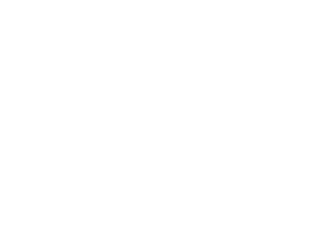 vgnewtrend_logo
