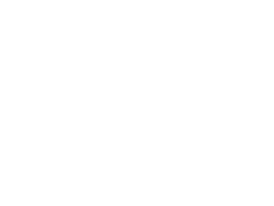 zg